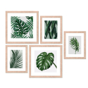 Conjunto de 5 Quadros Fotos Emolduradas Colagens Frame Jungle Venda