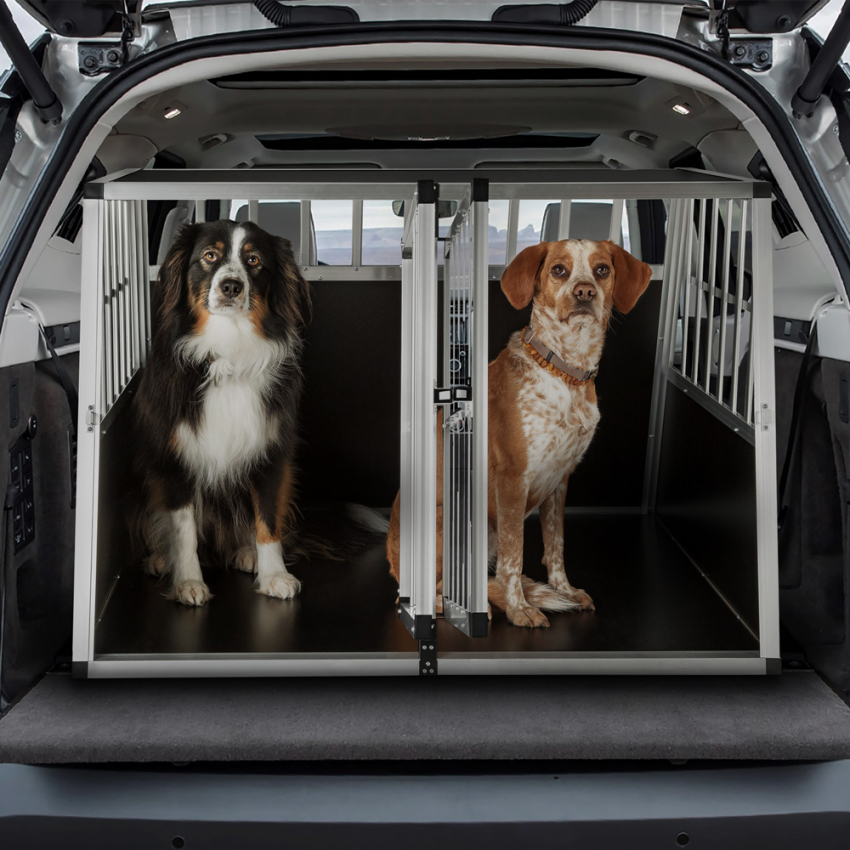 Caixa Rígida Dupla Para Cães Transportadora Gaiola Em Alumínio 104x91x69cm Skaut XL