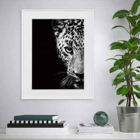 Quadro Fotografia Pintura Preto e Branco Animais Leopardo 40x50cm Variety Kambuku Promoção