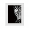 Quadro Fotografia Pintura Preto e Branco Animais Leopardo 40x50cm Variety Kambuku Venda