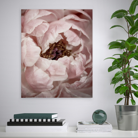 Estampa flores estrutura natureza tema floral moldura 40x50cm Variety Duwa Promoção