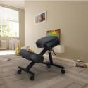 Cadeira Ortopédica de Metal e Couro Confortável Balancesteel Lux Venda