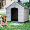 Casota para Animais Cães de Médio Porte Jardim Ruby Venda