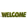Sinal Vegetal Musgo Estabilizado Decoração de Boas-vindas Welcome Oferta
