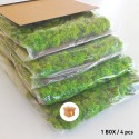 Painéis Vegetais Estabilizados 4 Painéis 60x40cm GreenBox Kit Lichene Medidas