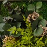 Quadro de Plantas Musgo Estabilizado Parede ForestMoss Persephone Preço