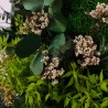 Quadro de Plantas Musgo Estabilizado Parede ForestMoss Persephone Compra