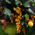 Imagens de Plantas de Jardim Flores Musgo Estabilizado ForestMoss Daphne Compra