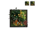 Imagens de Plantas de Jardim Flores Musgo Estabilizado ForestMoss Daphne Venda