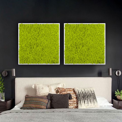 Estruturas de plantas estabilizadas jardim vertical musgo verde Lichene